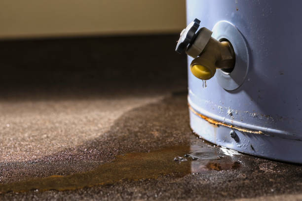 Best Commercial water damage restoration  in Shongopovi, AZ