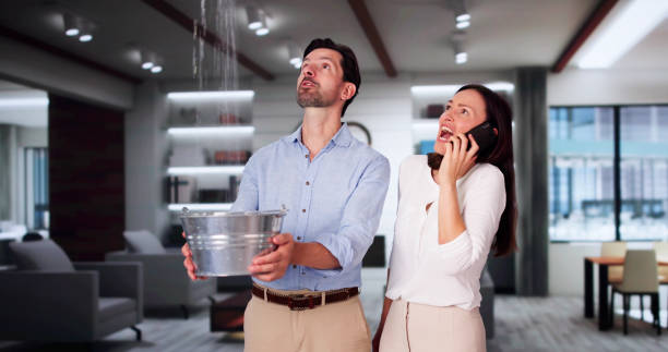 Best Professional water damage repair  in Shongopovi, AZ