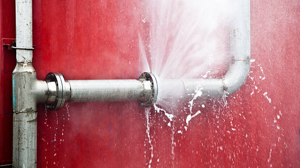 Best Flood restoration services  in Shongopovi, AZ